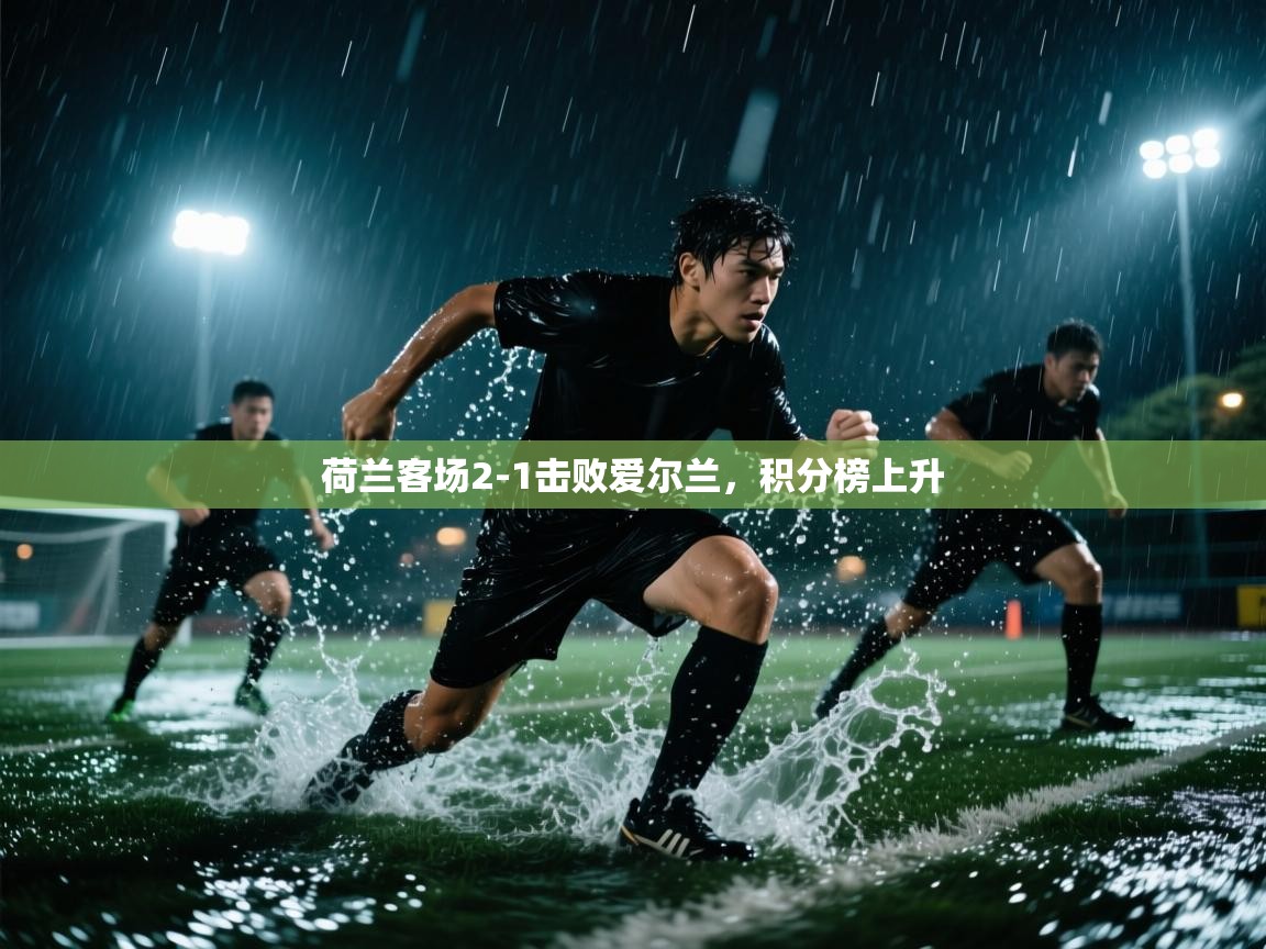 开云体育app下载链接-荷兰客场2-1击败爱尔兰,积分榜上升 第1张